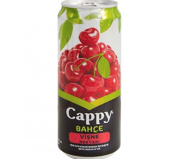 Cappy Vişne Kutu 330 ml